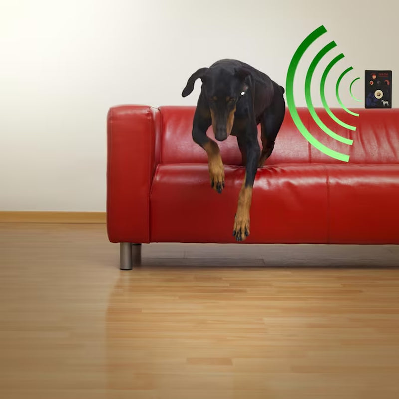 Plastic Pet Door Access Key